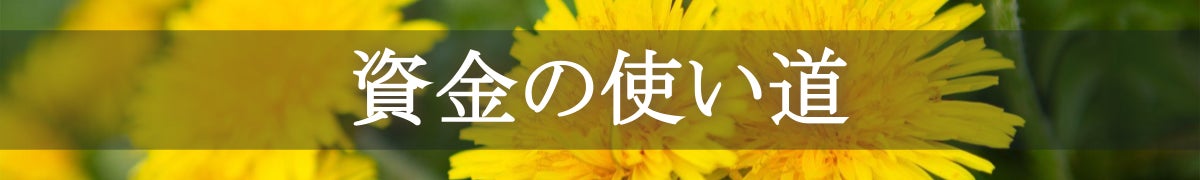 資金の使い道