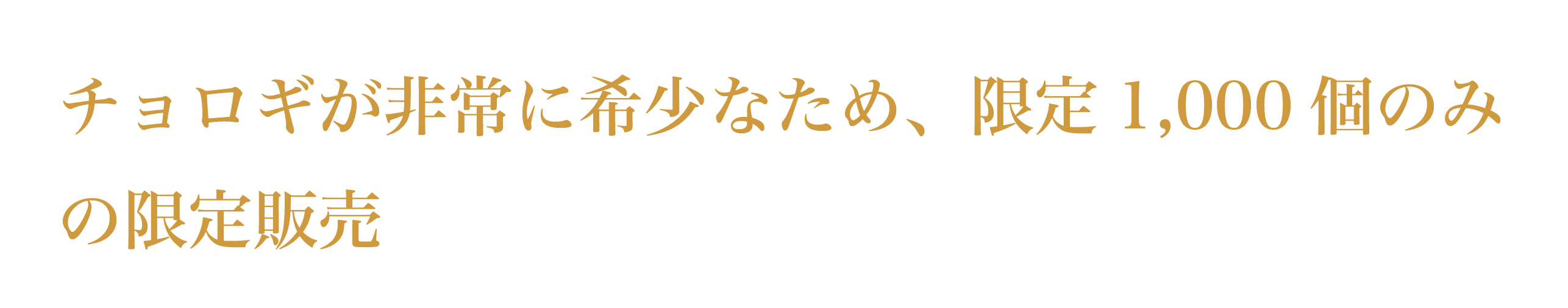 記憶力が気になる方にお届けしたい チョロギエキス配合サプリメント 長老喜 Campfire キャンプファイヤー