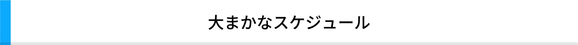 大まかなスケジュール