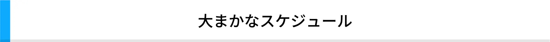 大まかなスケジュール