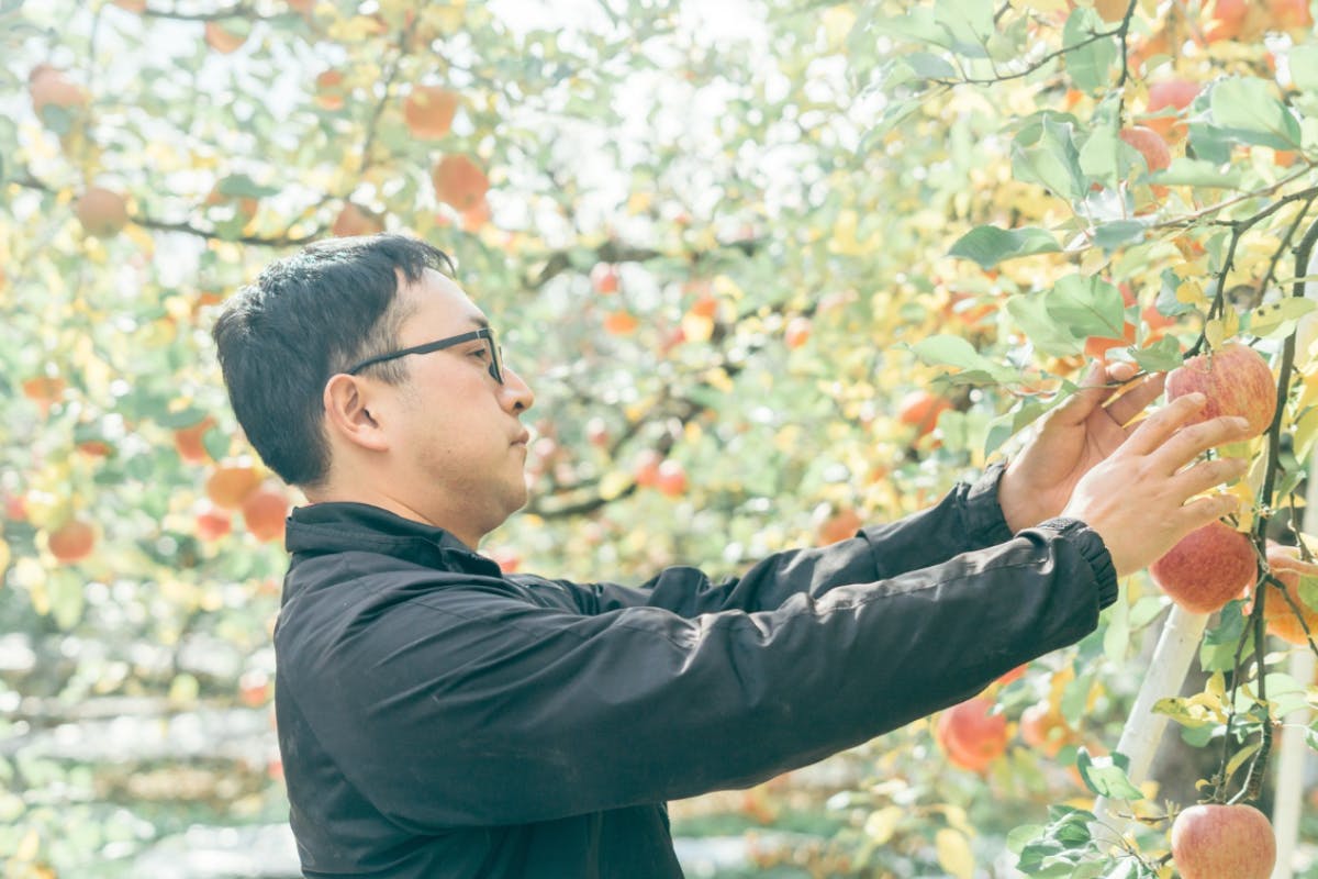 (りんご)＠購入者様プロフ必読ページ りんご731 プロフ必読様 リクエスト 2点 まとめ商品 りんご)＠購入者様