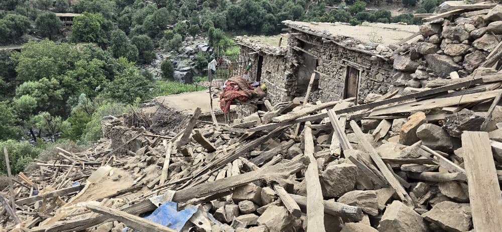 c42846cb 2daf 4d09 9e05 d34496835ae9