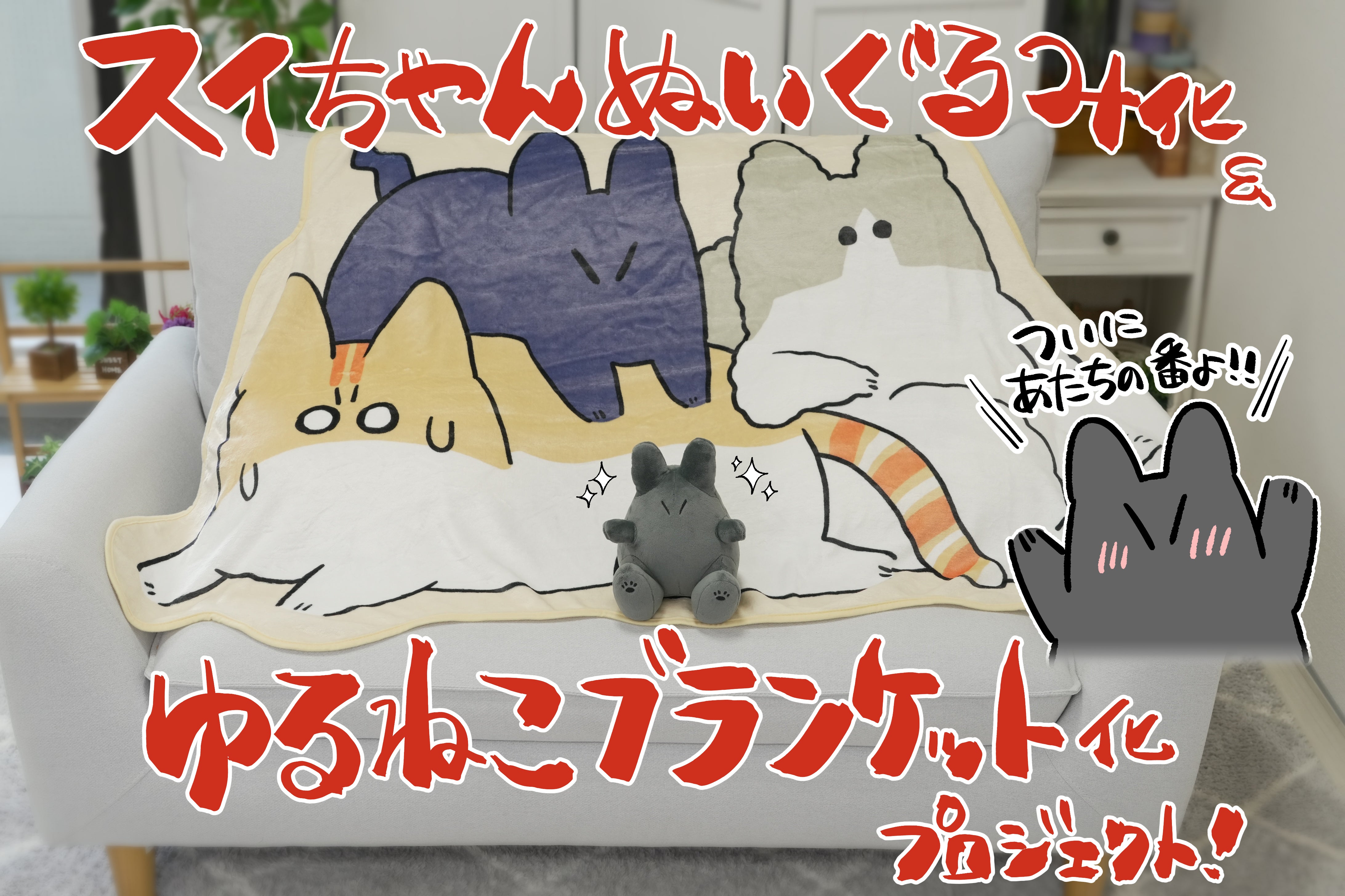 ついに仲間入り！スイちゃんぬいぐるみ化&ゆるねこブランケット化