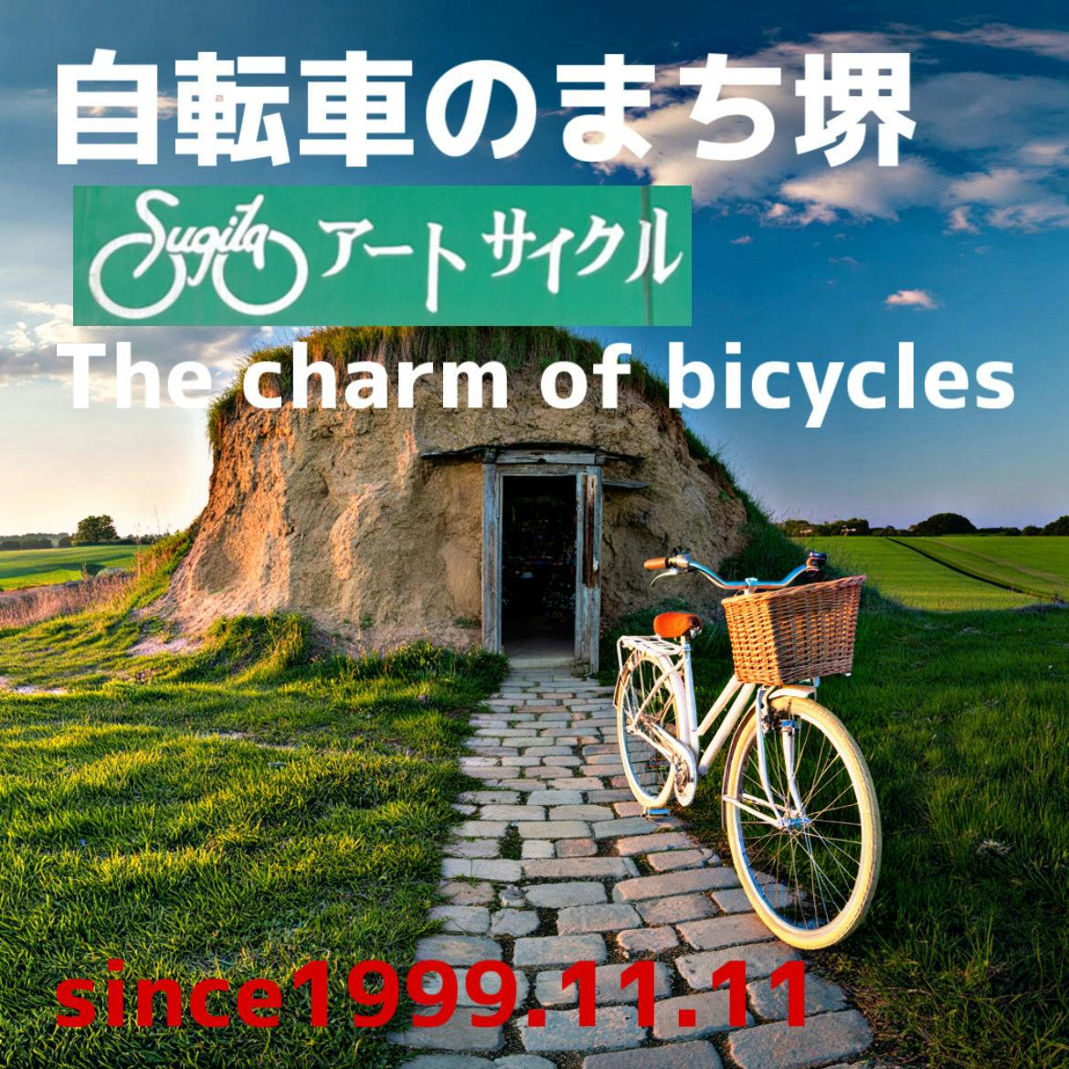 自転車の一世紀 日本自転車産業振興会編 自転車の一世紀 日本自転車産業史 - 歴史、日本史、郷土史、民族