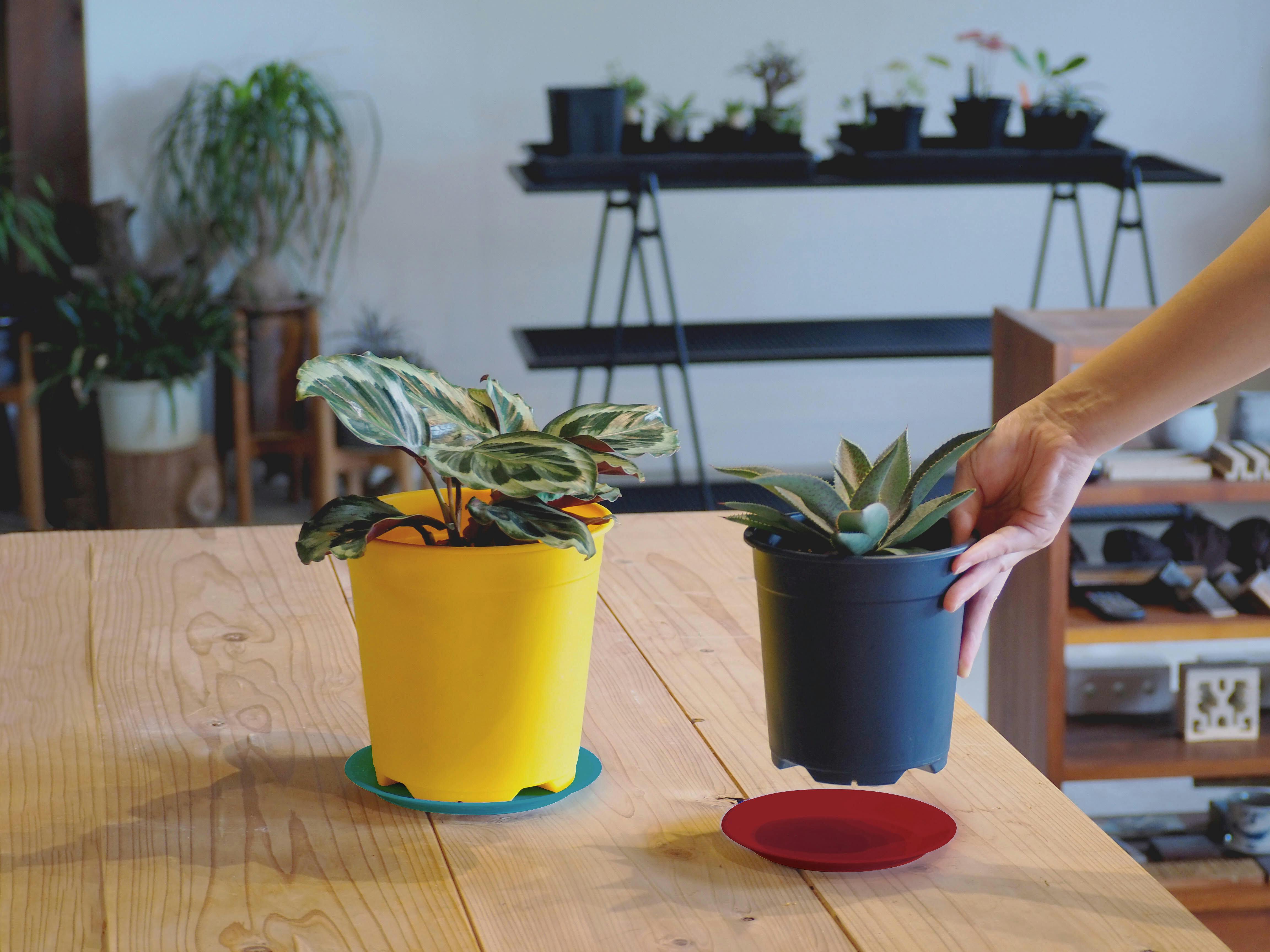 みなさんの「ほしい！」に応えて、19色から選べるオリジナルプラ鉢