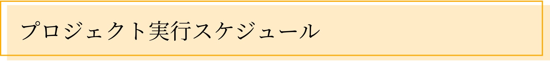 プロジェクト実行スケジュール