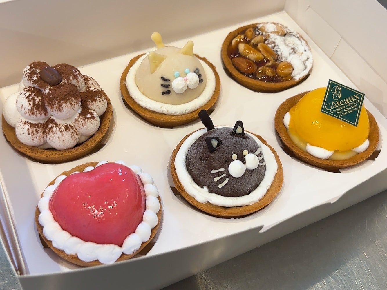 猫とコーヒーでつなぐ優しい未来|スペシャルなマチュピチュコーヒー 猫とコーヒーでつなぐ優しい未来|スペシャルなマチュピチュコーヒー