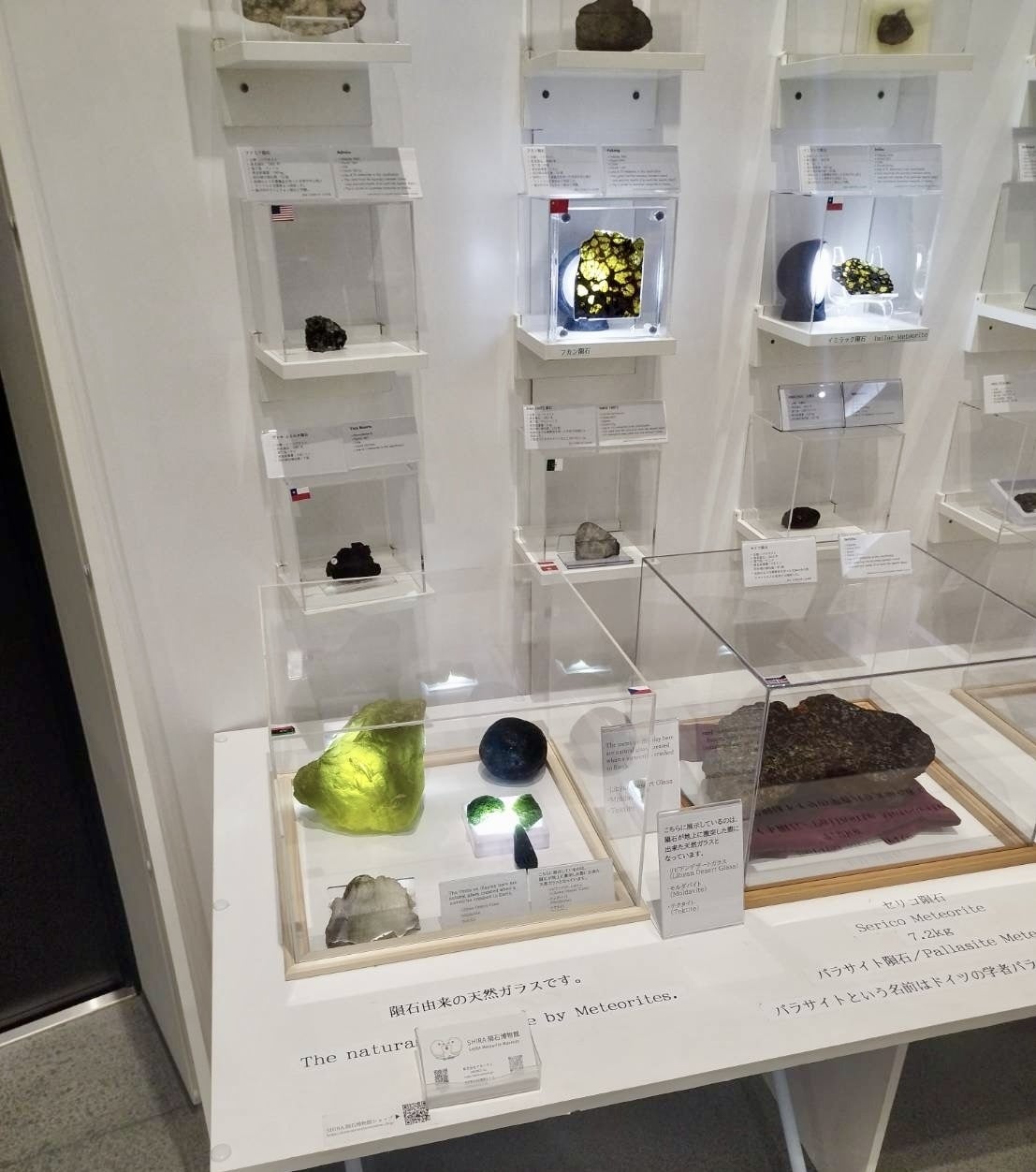 最大120分待ち】万博隕石展示コーナー。隕石展示再開プロジェクト
