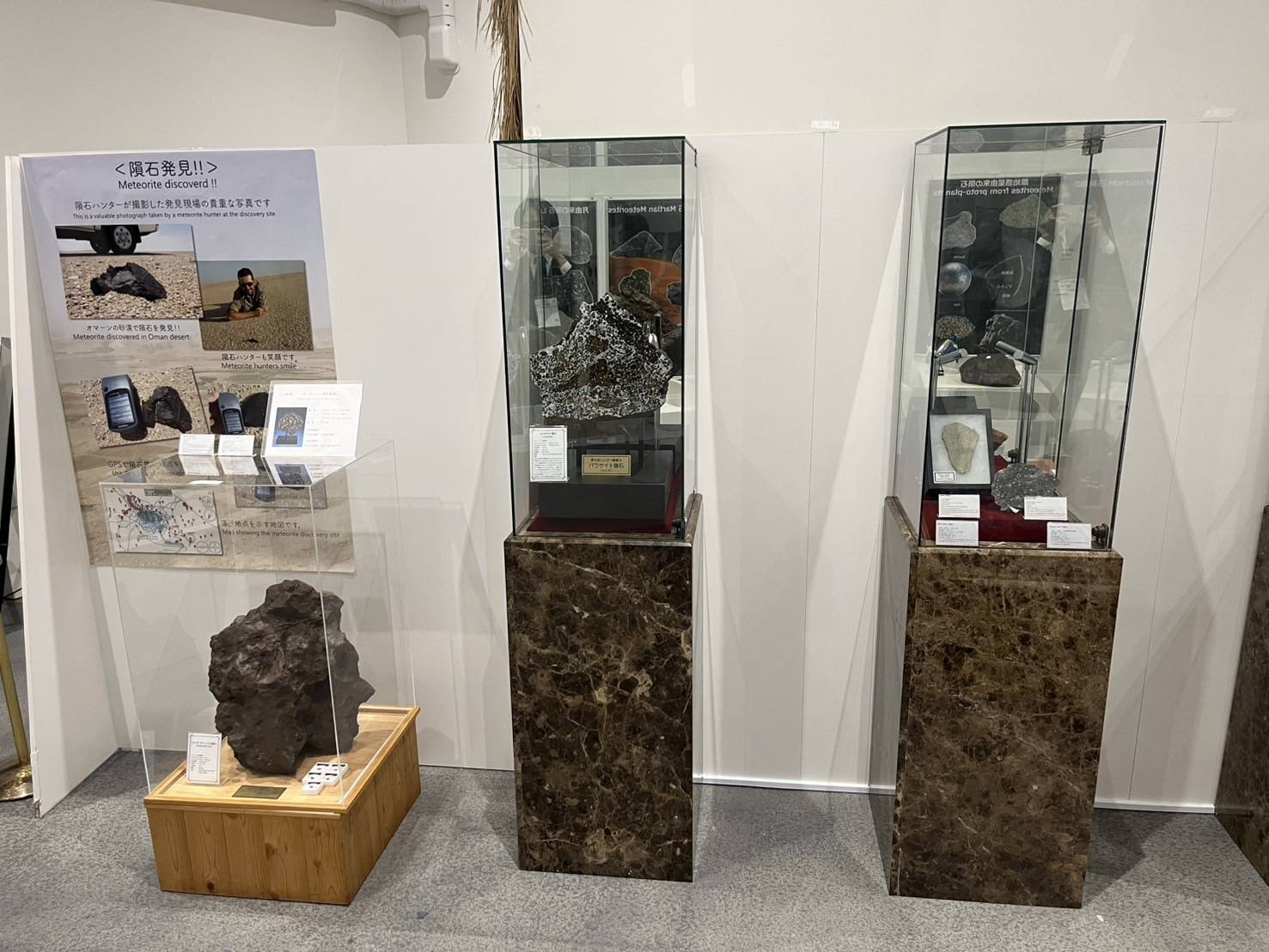 最大120分待ち】万博隕石展示コーナー。隕石展示再開プロジェクト