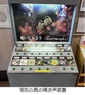 鳥の博物館に触って・聞いて楽しめる鳥の鳴き声装置を設置したい