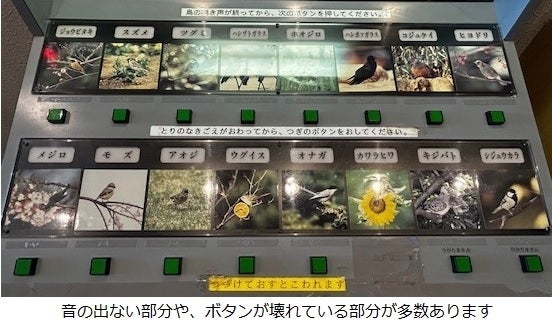 鳥の博物館に触って・聞いて楽しめる鳥の鳴き声装置を設置したい