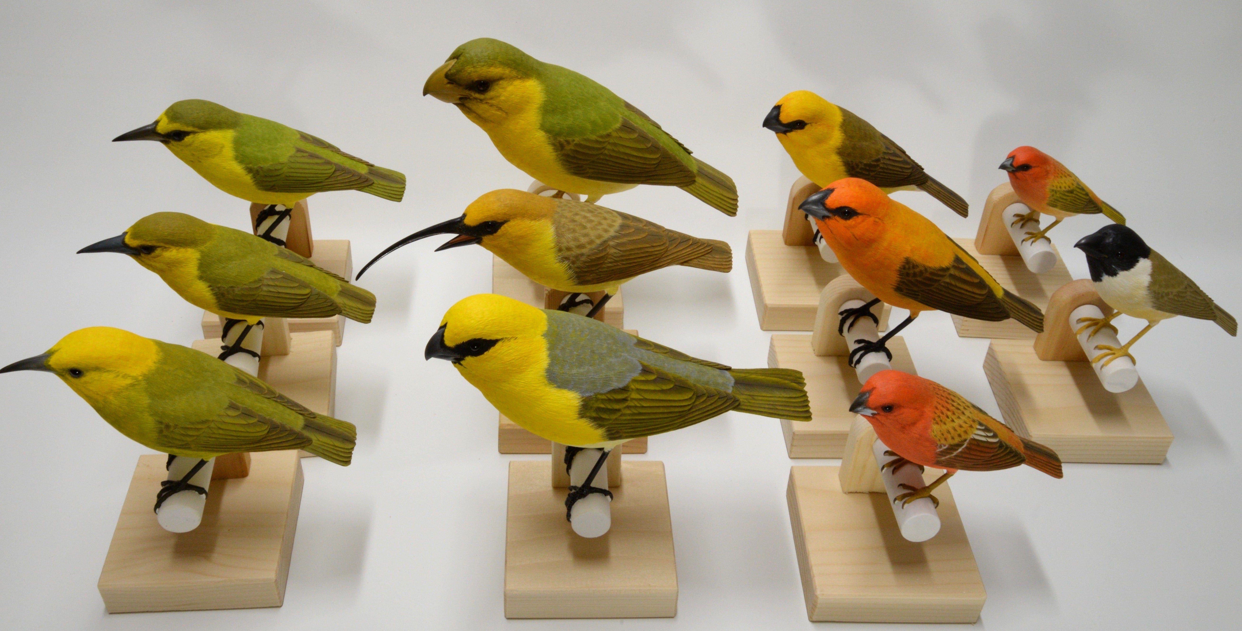 鳥の博物館に触って・聞いて楽しめる鳥の鳴き声装置を設置したい