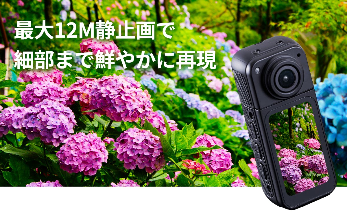 【専用】PJページ br>□Belle F-2085 Zeque / ゼクー 偏光サングラス<br>ライト