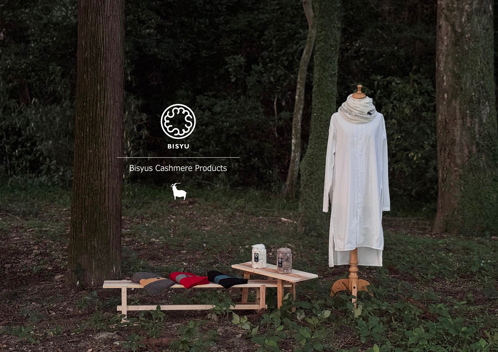 活動報告公開予定3本文TOP BISYU.jpg