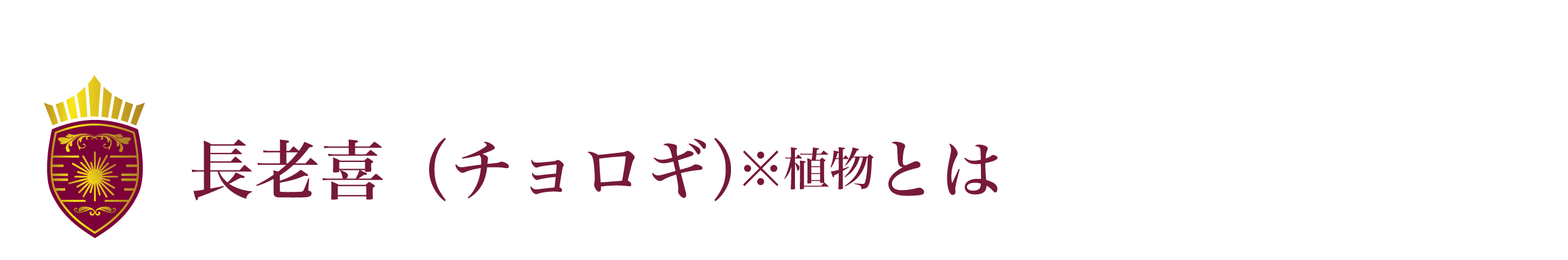 記憶力が気になる方にお届けしたい チョロギエキス配合サプリメント 長老喜 Campfire キャンプファイヤー
