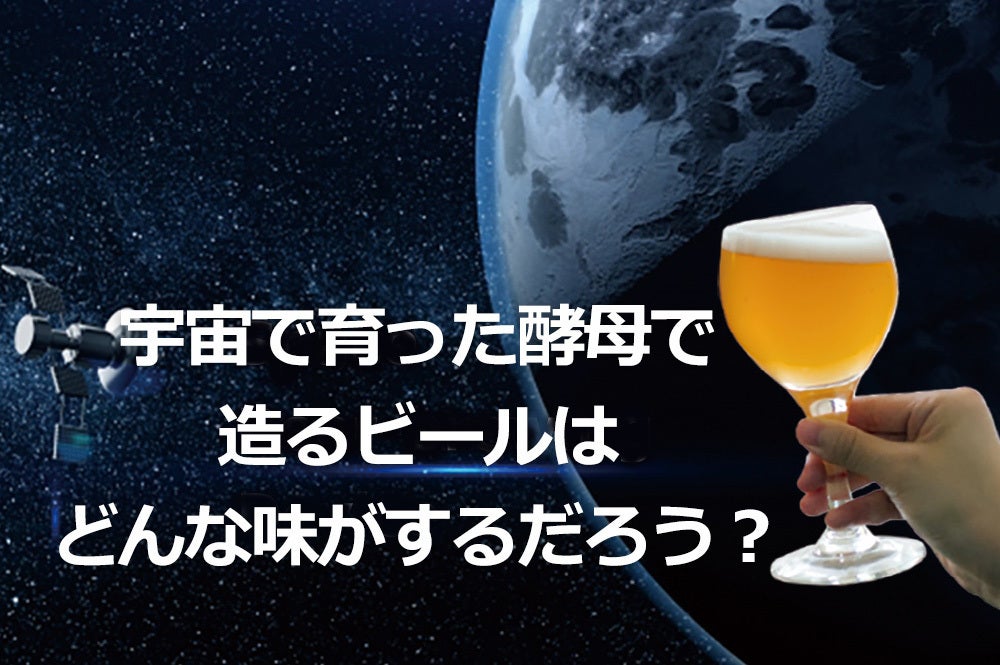 宇宙増殖酵母でつくったビールで乾杯したい！ - CAMPFIRE (キャンプ