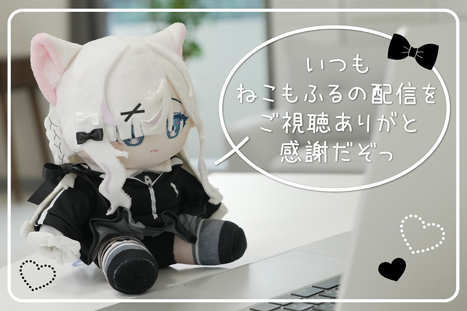 尊み、もふっと凝縮！ねこもふるぬいぐるみ化プロジェクト - CAMPFIRE
