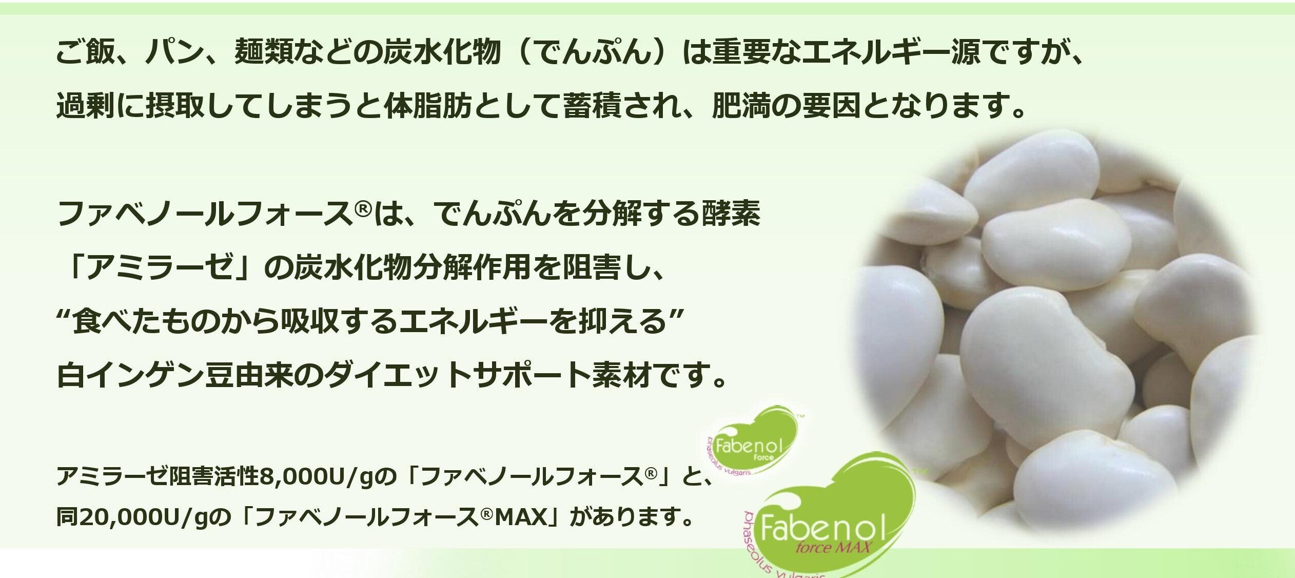 白いんげん豆抽出物ファベノールフォース®
