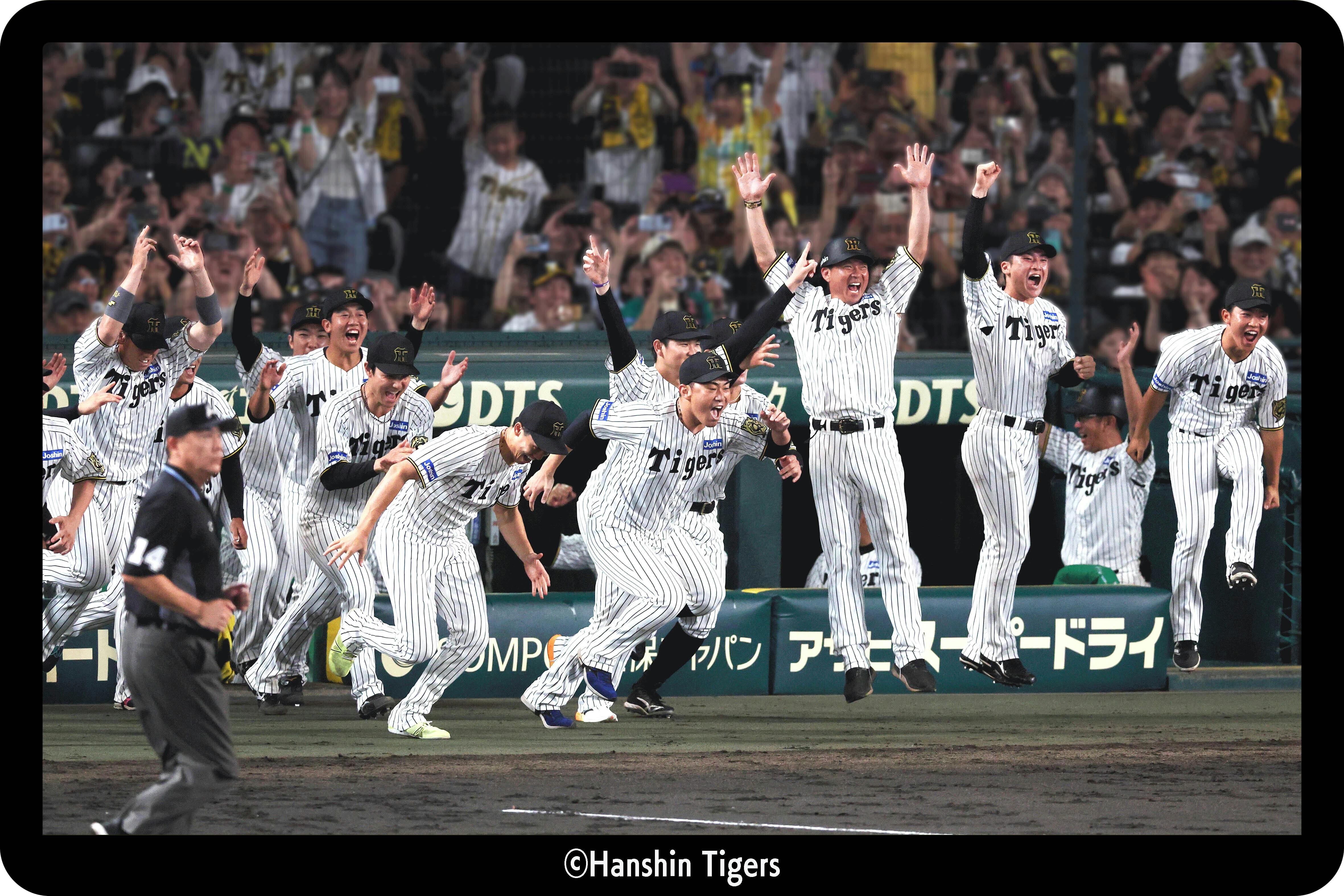 阪神タイガース、クライマックス優勝法被、激渋 阪神タイガース、クライマックス優勝法被、激渋 mqdefault.jpg