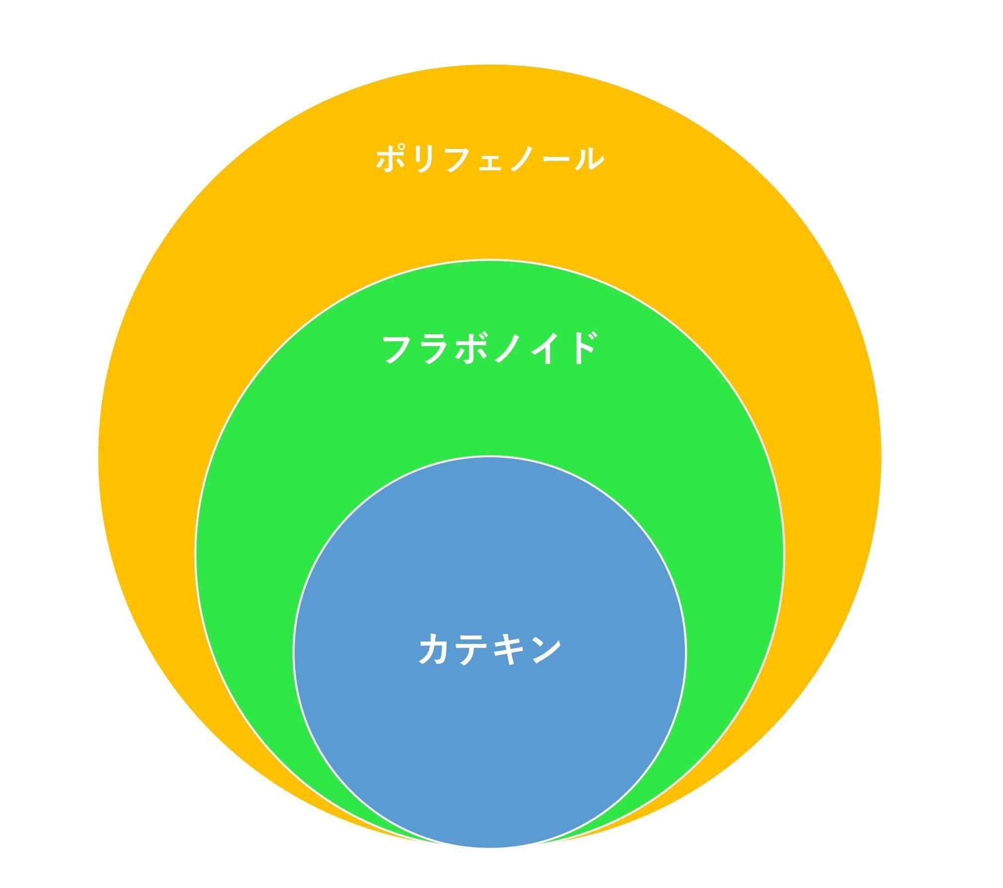 茶カテキンとは?
