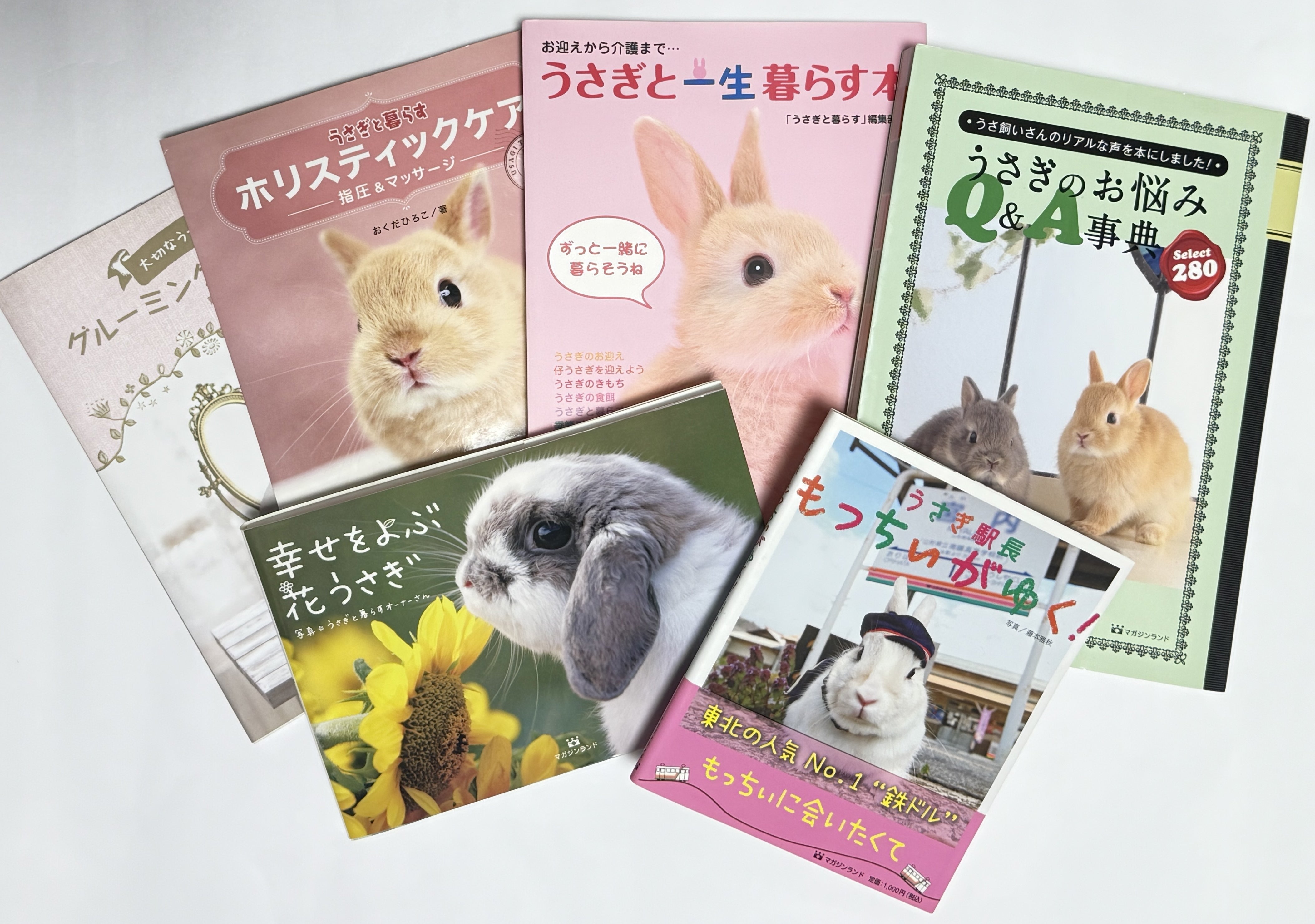 うさぎと暮らす」 うさぎ介護用品の開発 - CAMPFIRE (キャンプファイヤー) うさぎと暮らす」 うさぎ介護用品の開発 - CAMPFIRE (キャンプファイヤー)