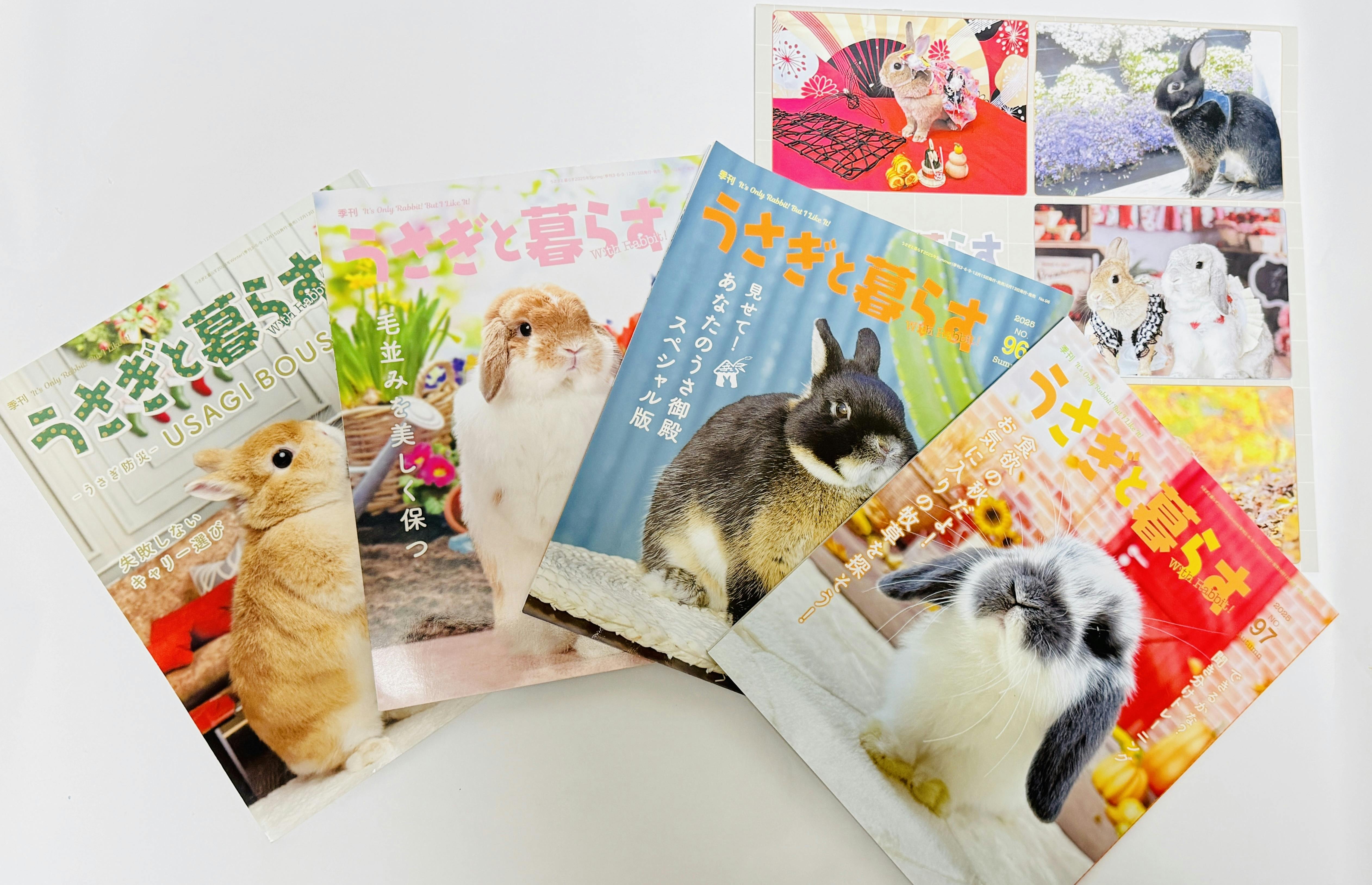 うさぎと暮らす」 うさぎ介護用品の開発 - CAMPFIRE (キャンプファイヤー)