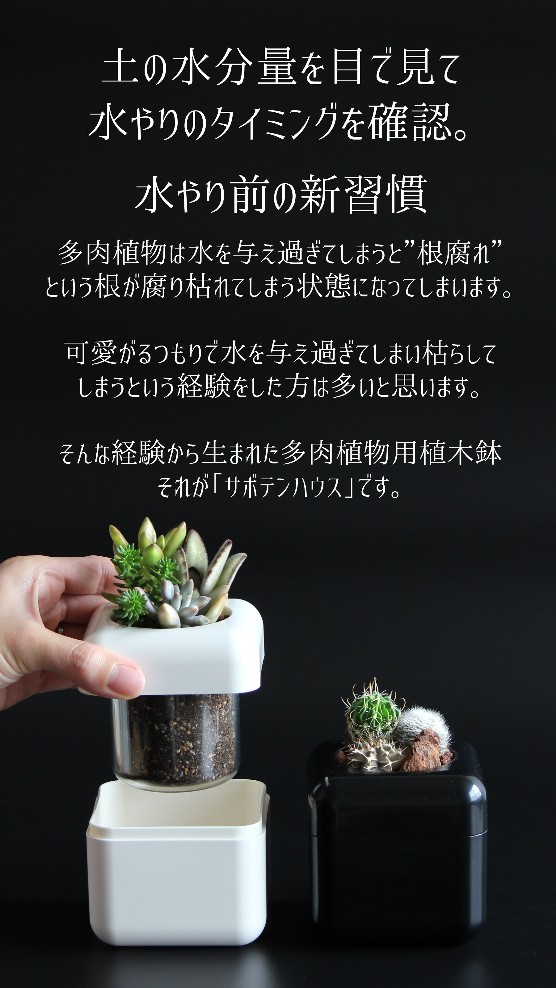 根腐れを防げる多肉植物用植木鉢「サボテンハウス」に多肉植物を植えて