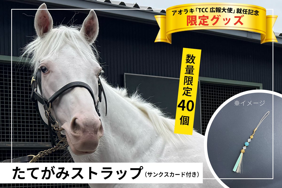 TCC アオラキ 普及啓発カレンダー 2026 明日 20:00～】アオラキ「TCC 広報大使」就任記念 限定グッズが