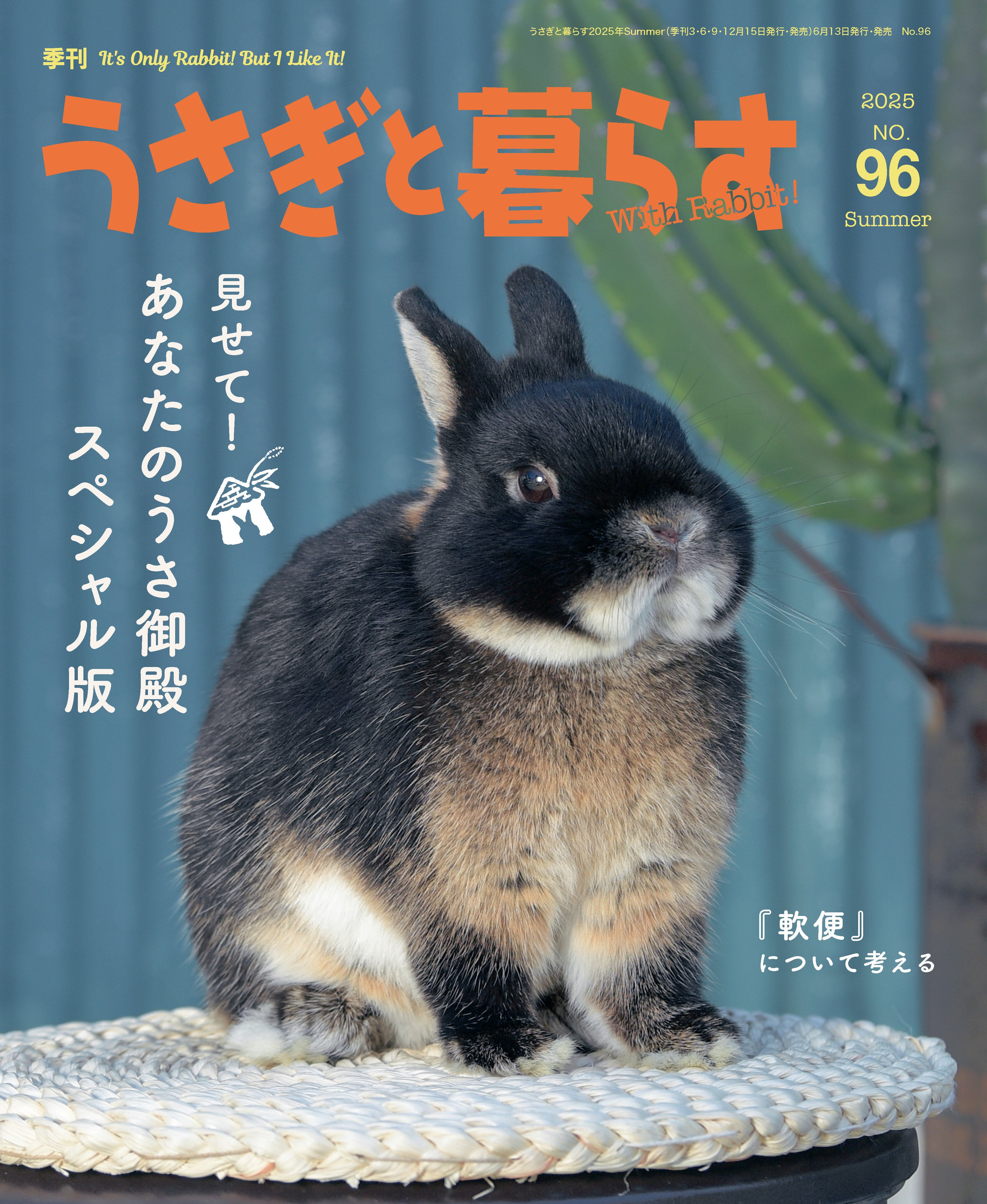 うさぎと暮らす」 うさぎ介護用品の開発 - CAMPFIRE (キャンプファイヤー)