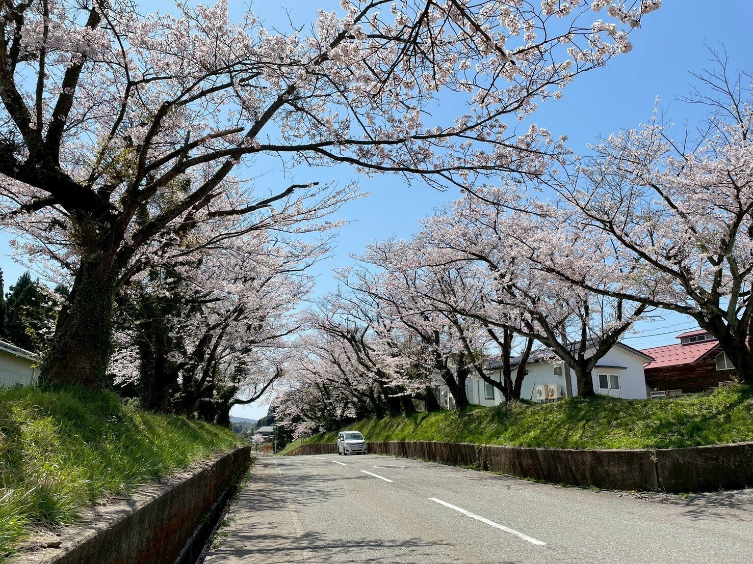 商品写真9