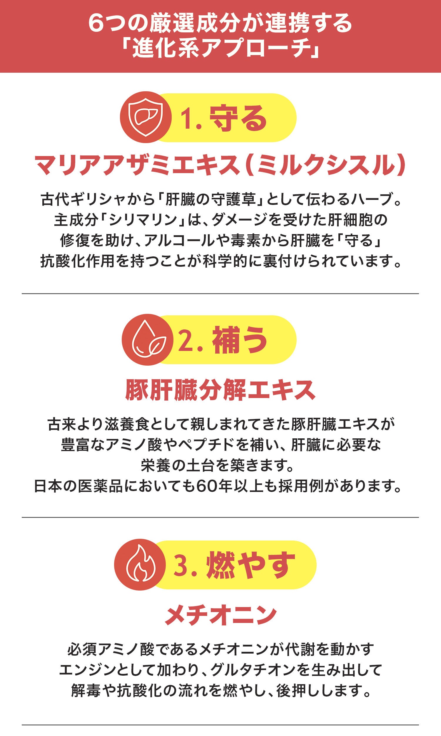 6つの厳選成分が連携する「進化系アプローチ」