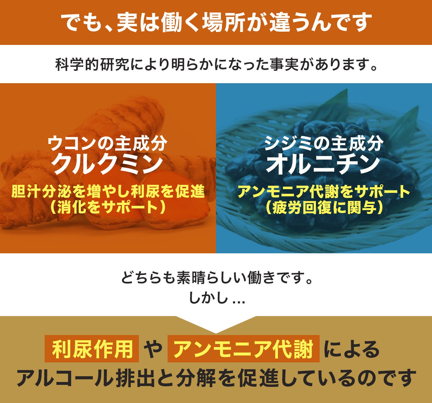 でも、実は働く場所が違うんです