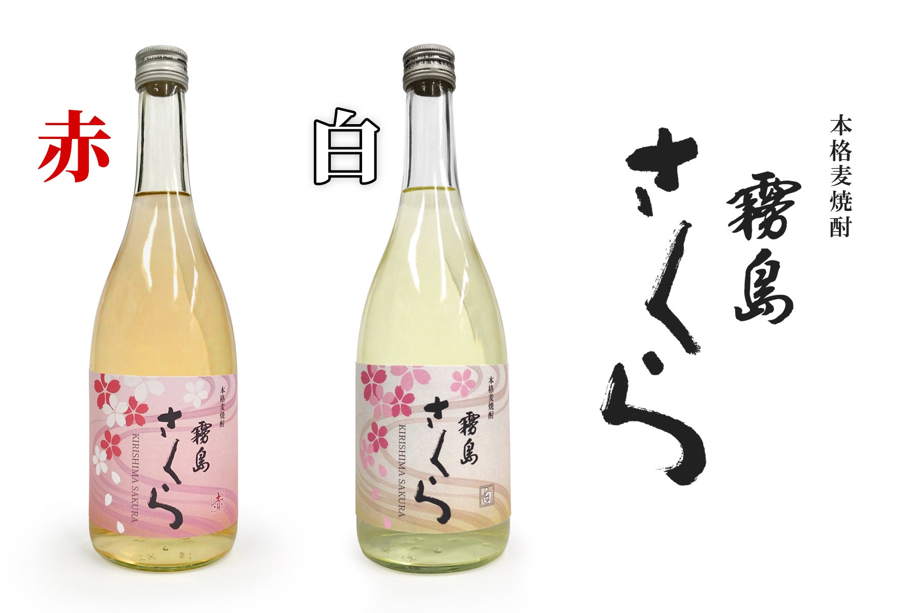 日本の蒸留技術を世界へ！ワイン樽熟成麦焼酎「霧島さくら麦