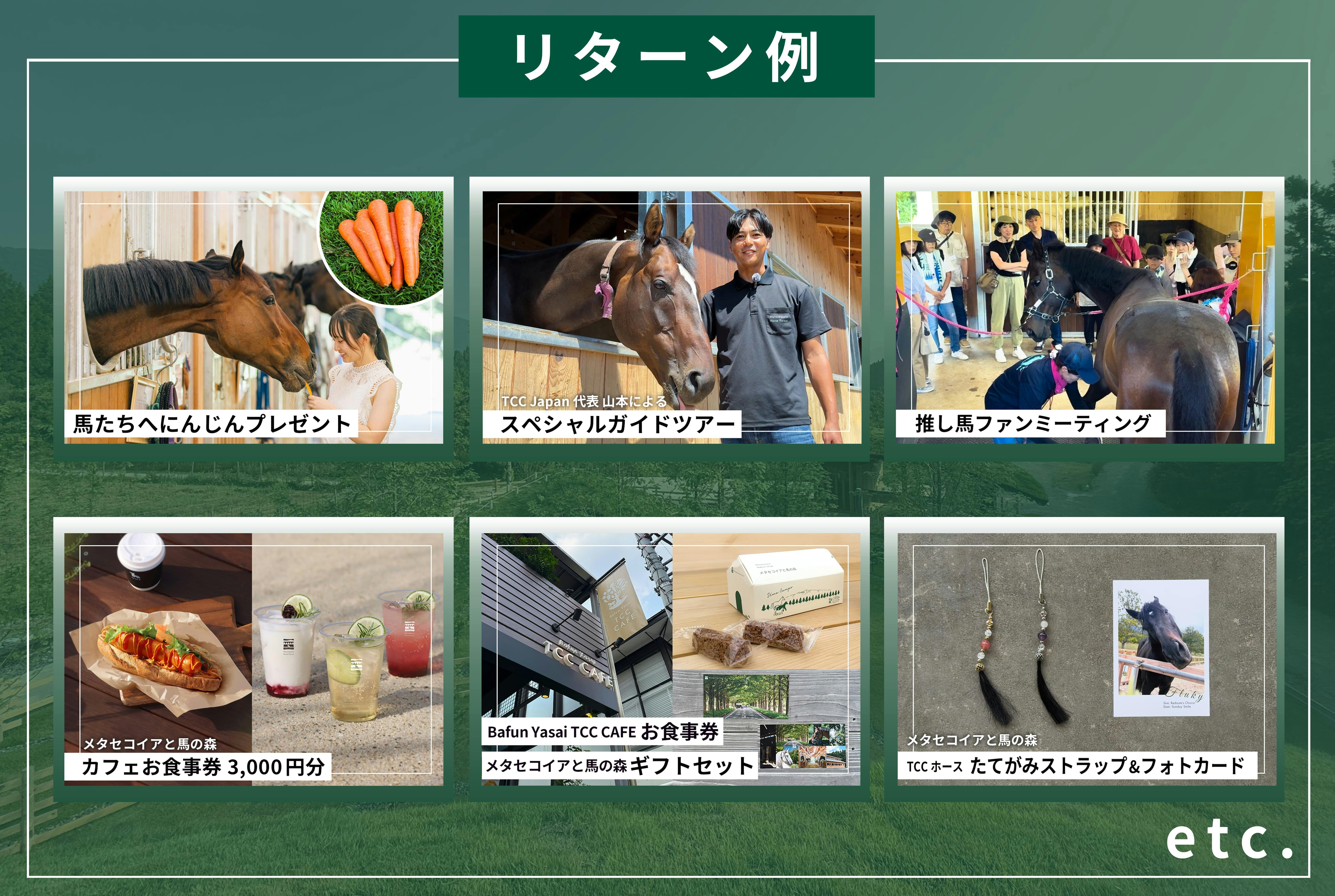 誰でも気軽に馬に会える