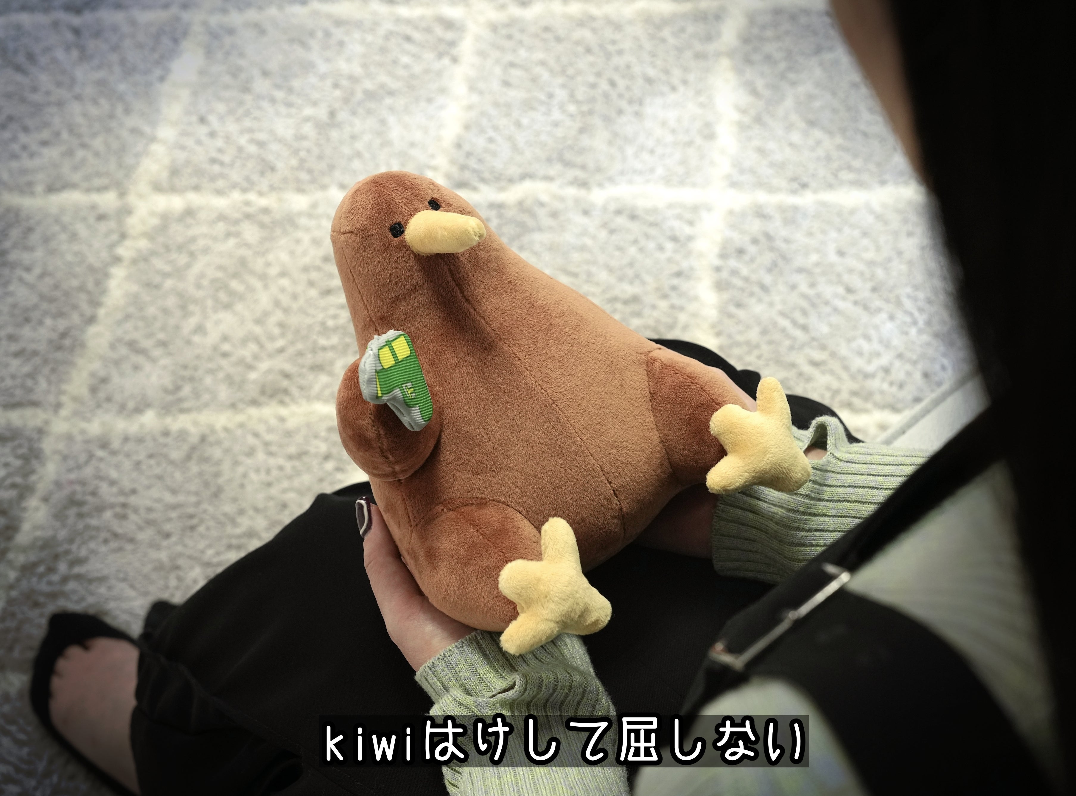 あのシュールな鳥がついに立体化 – kiwi_lifeぬいぐるみ化プロジェクト