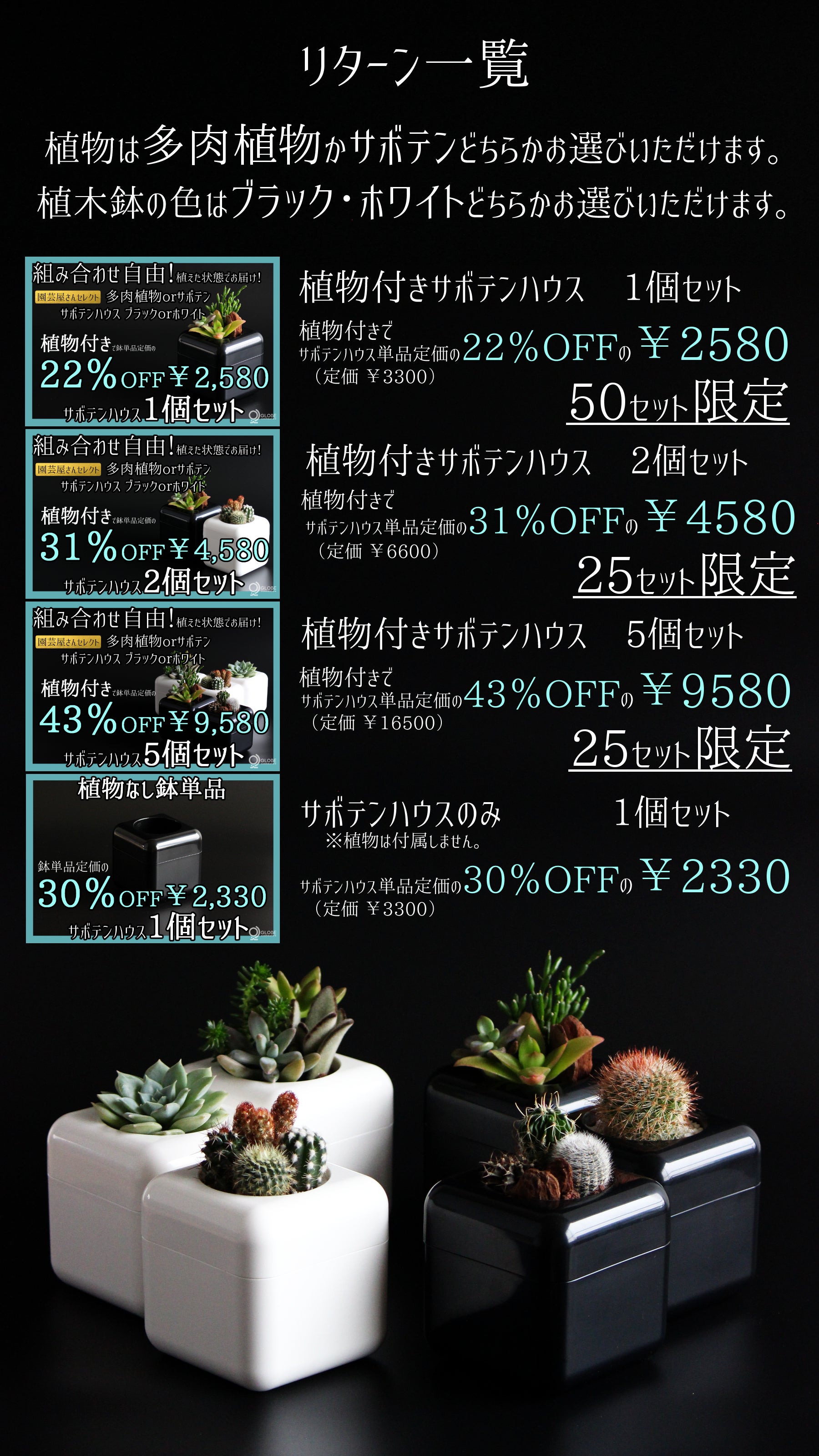 根腐れを防げる多肉植物用植木鉢「サボテンハウス」に多肉植物を植えて
