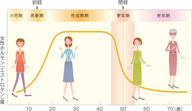 女性の一生と女性ホルモン（エストロゲン）量