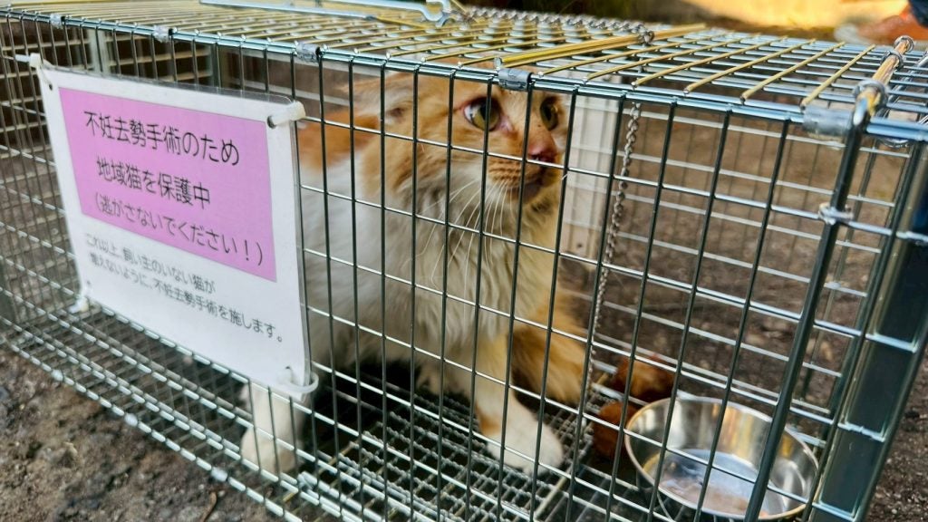 【大分市大規模火災 緊急支援】官民と企業の力で被災者を支え、地元支援団体とも連携して小さな命を守る 8 LINE ALBUM 20251122 251122 8