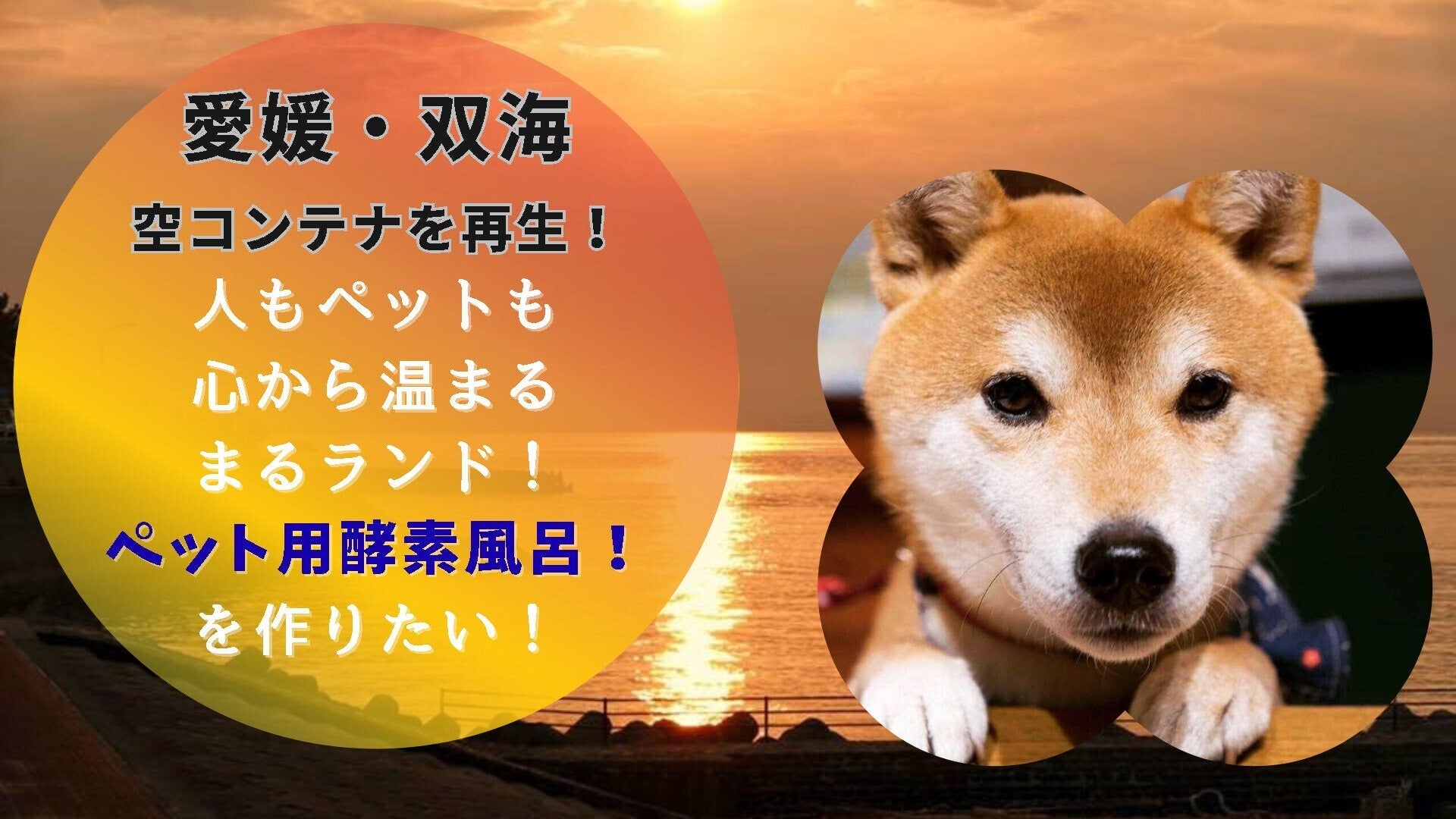 家族もペットもずっと健康に！双海の空きコンテナを「癒しの酵素風呂