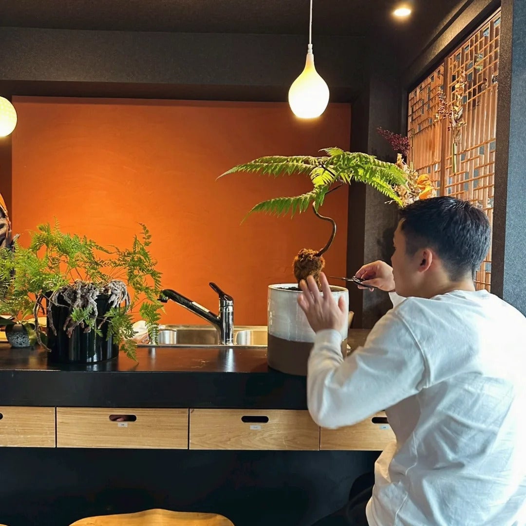箱根から始まる「粋」なJAPANESE GREENブランドを創業します