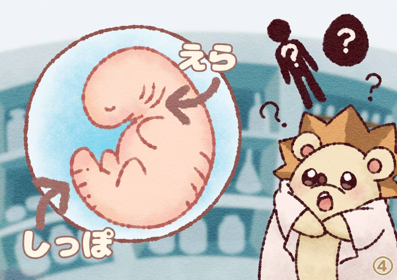 生命（いのち）の誕生を学ぶ！小学校に性教育紙芝居を寄贈 - CAMPFIRE