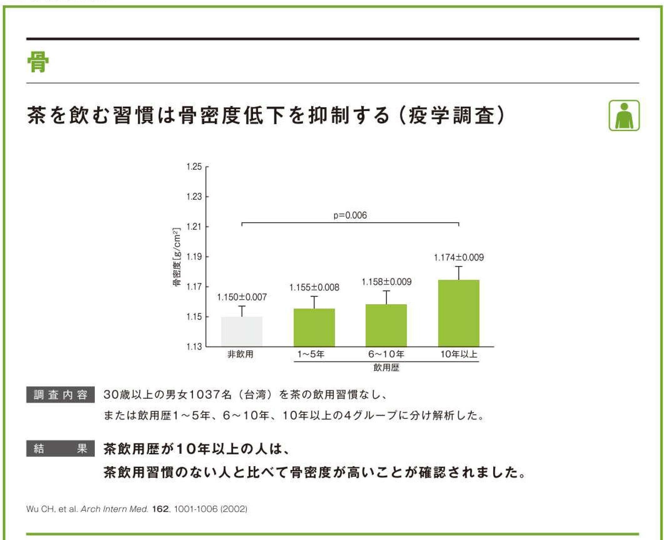茶カテキン骨密度低下を抑制
