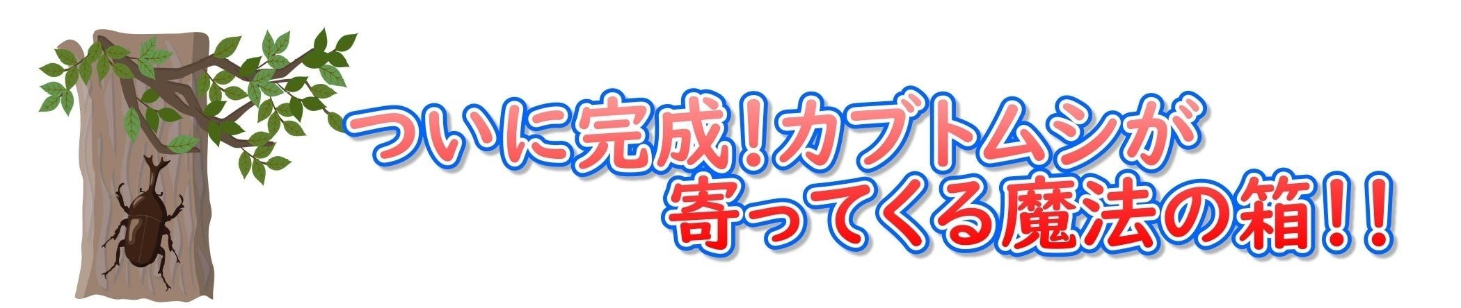 カブトムシが簡単に寄ってくる魔法の箱 Campfire キャンプファイヤー カブトムシが簡単に寄ってくる魔法の箱 Campfire キャンプファイヤー