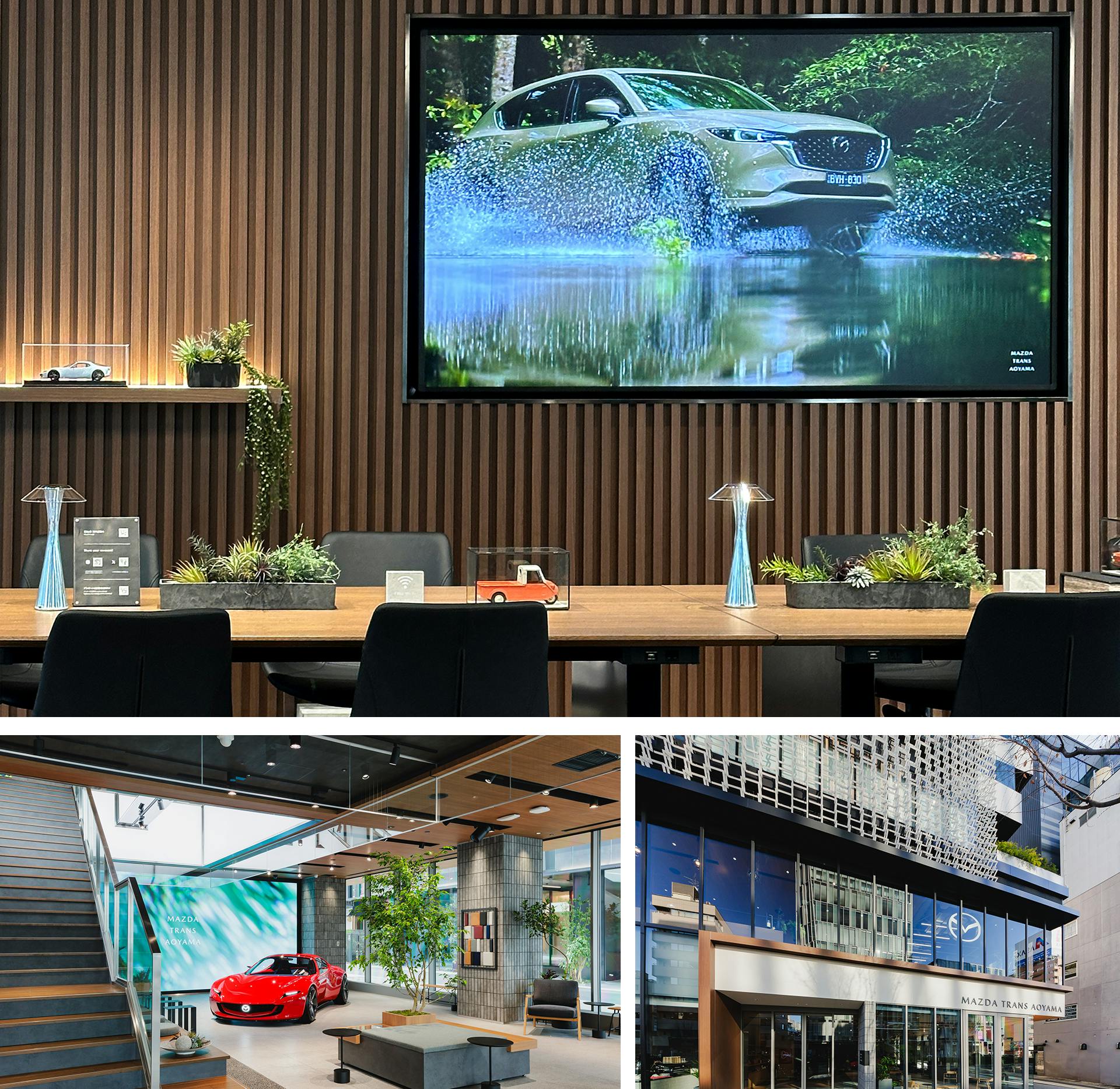 ＜IAFF2025上映会の様子写真＞