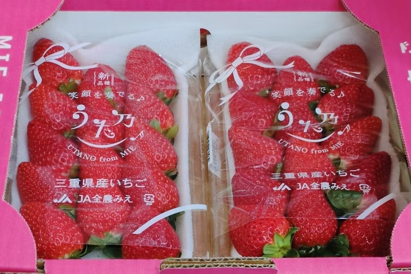 旬の激ウマいちごを食べ尽くす「超いちご箱」2026！専門家による厳選