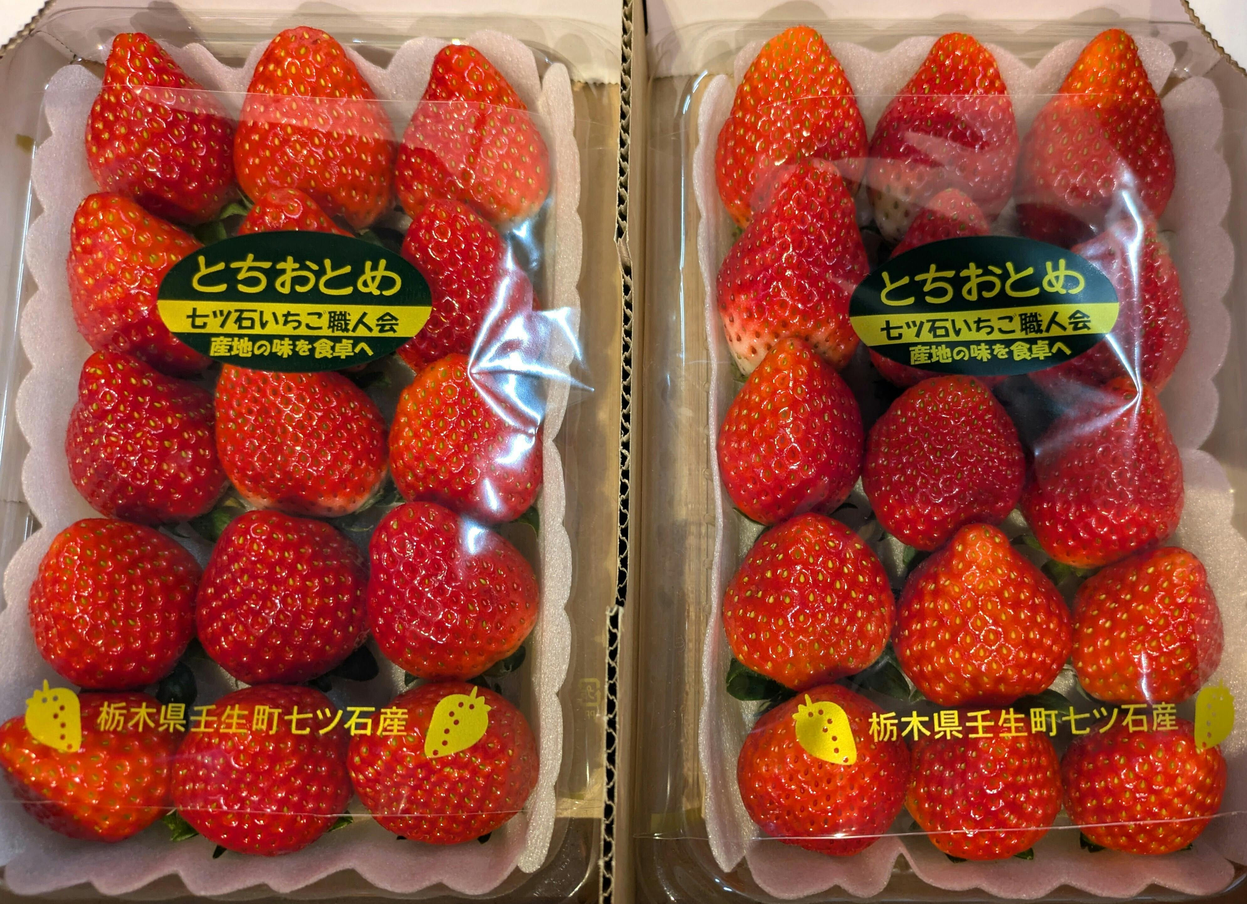 旬の激ウマいちごを食べ尽くす「超いちご箱」2026！専門家による厳選