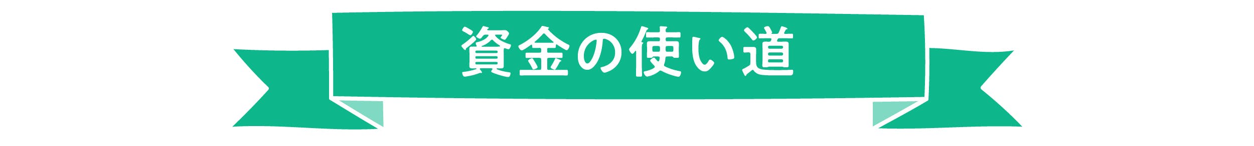 資金の使い道