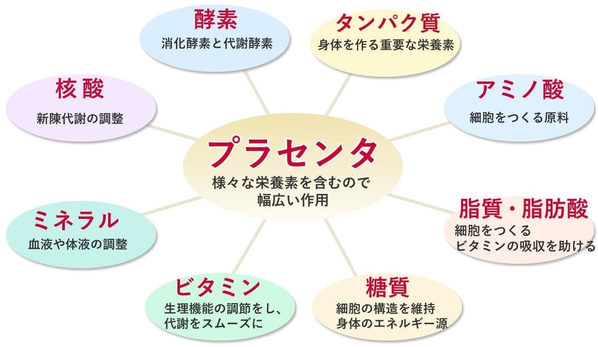 プラセンタ成分