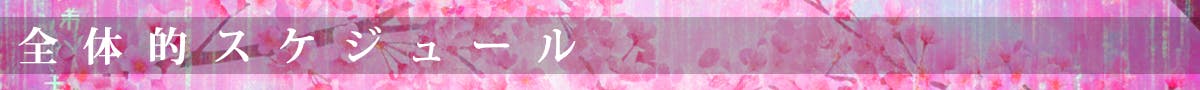 全体的スケジュール