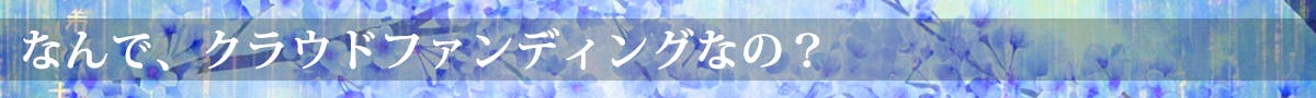 なぜ、クラウドファンディングなの?
